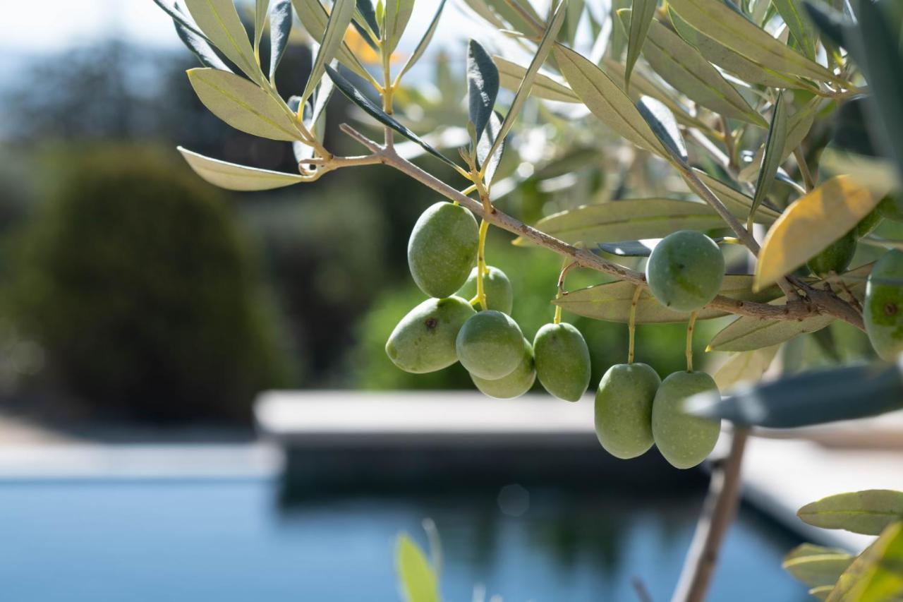 Guest house La Bastide Des Culs-rousset *